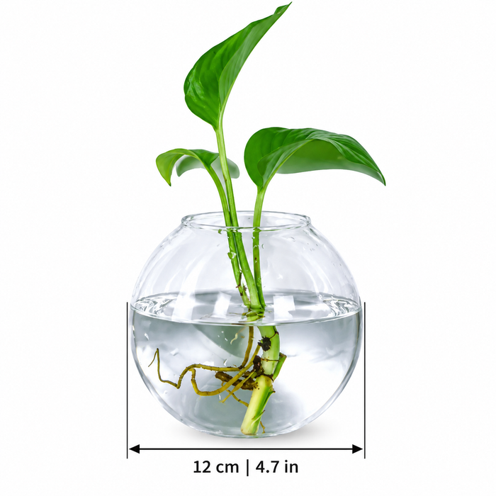 RootBubble