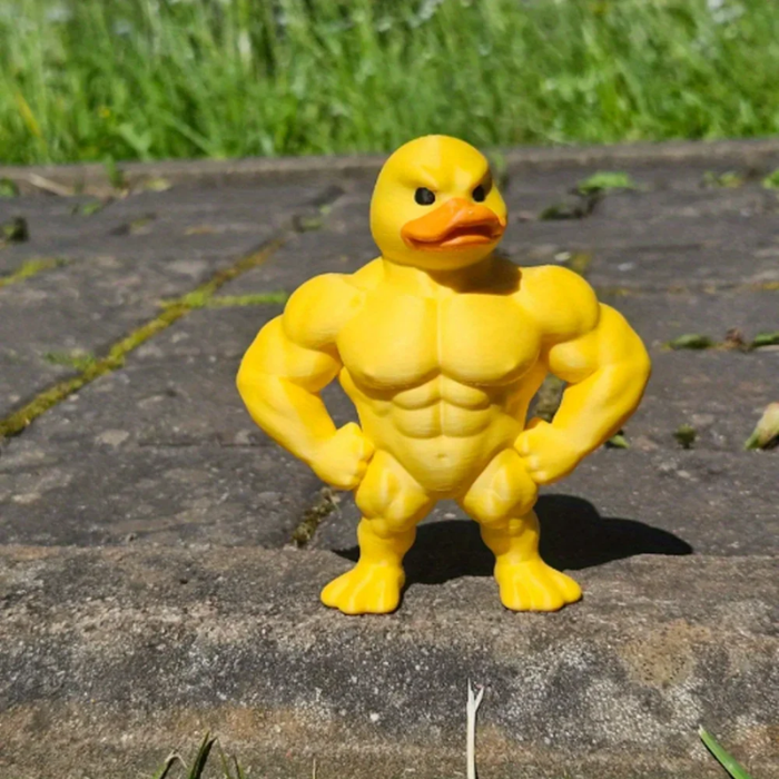 FlexiDuck