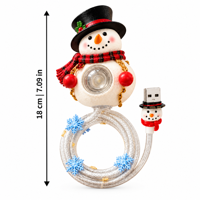 SnowProject