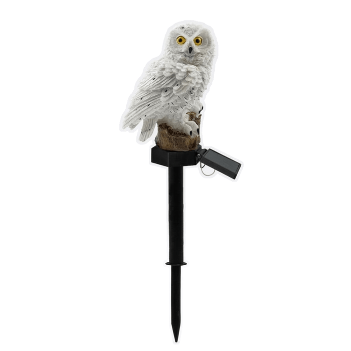 LumaHoot