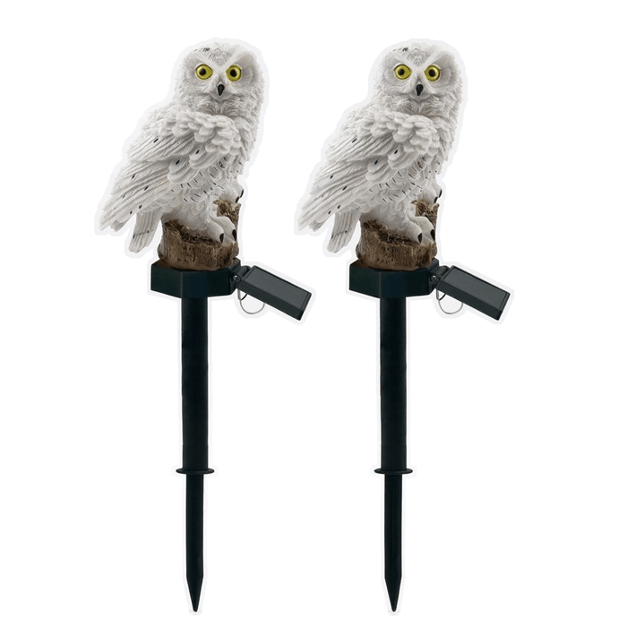 LumaHoot