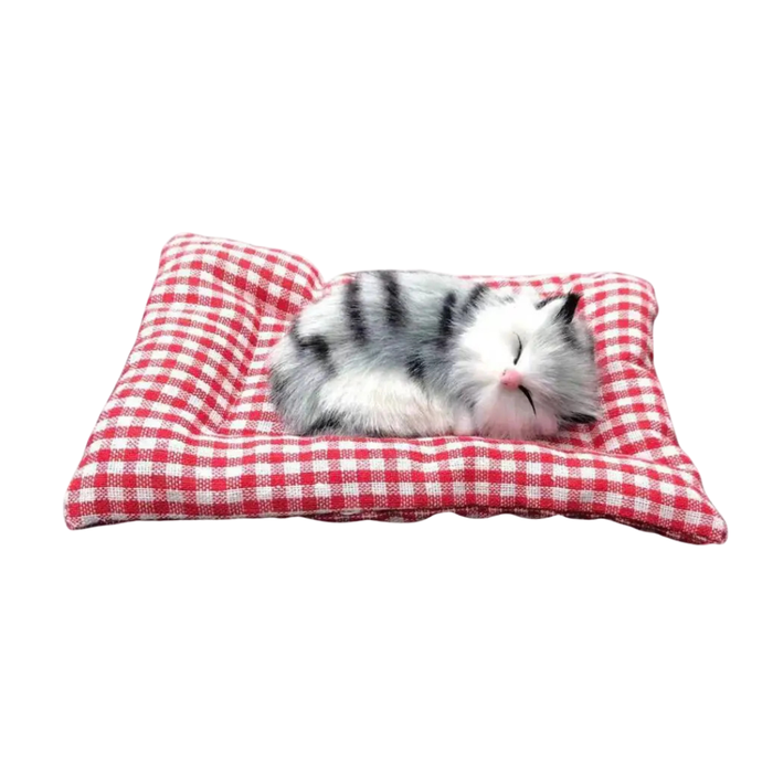 SleepyPurr